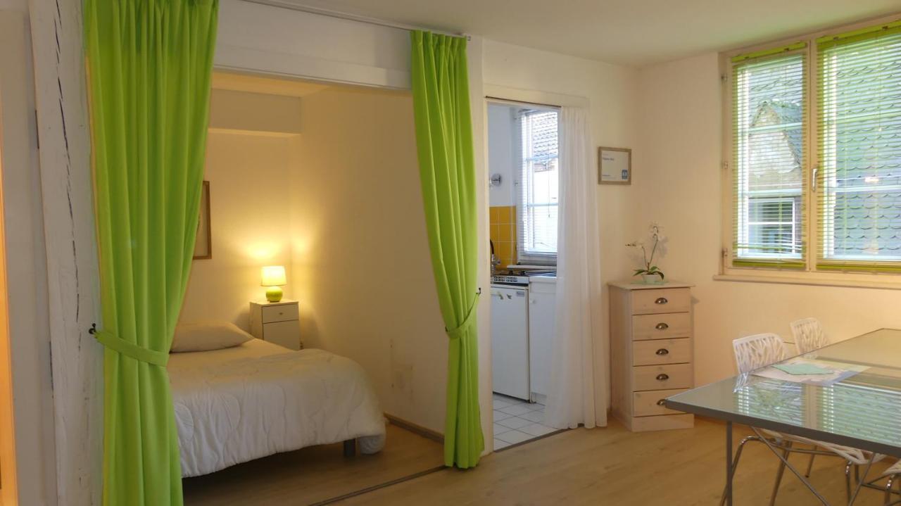 Tripiers Anis Apartment Colmar Exterior foto
